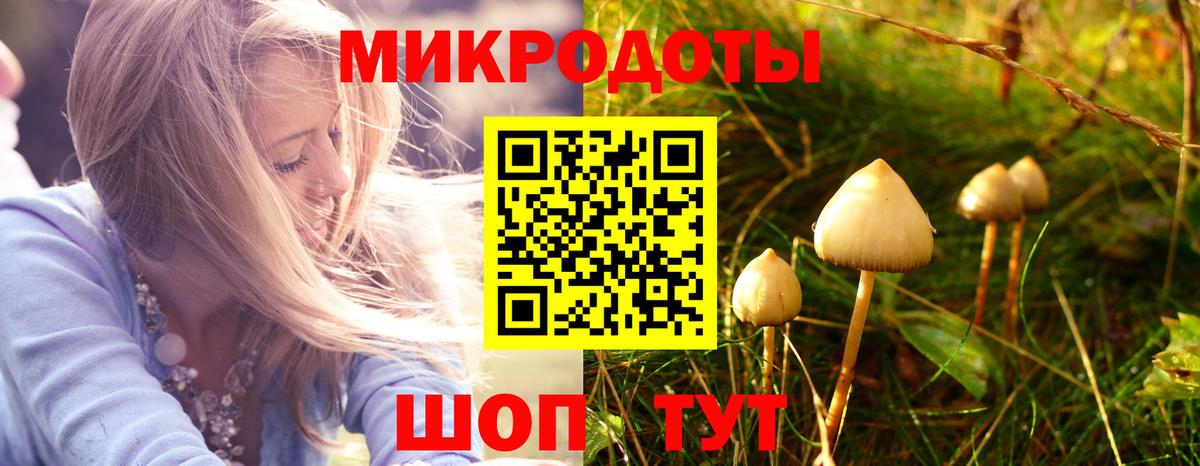 Псилоцибиновые грибы прущие грибы  Псилоцибиновые грибы Psilocybe  Каменск-Уральский  Вход с VPN 