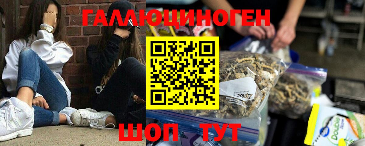 Галлюциногенные грибы мухоморы Каменск-Уральский
